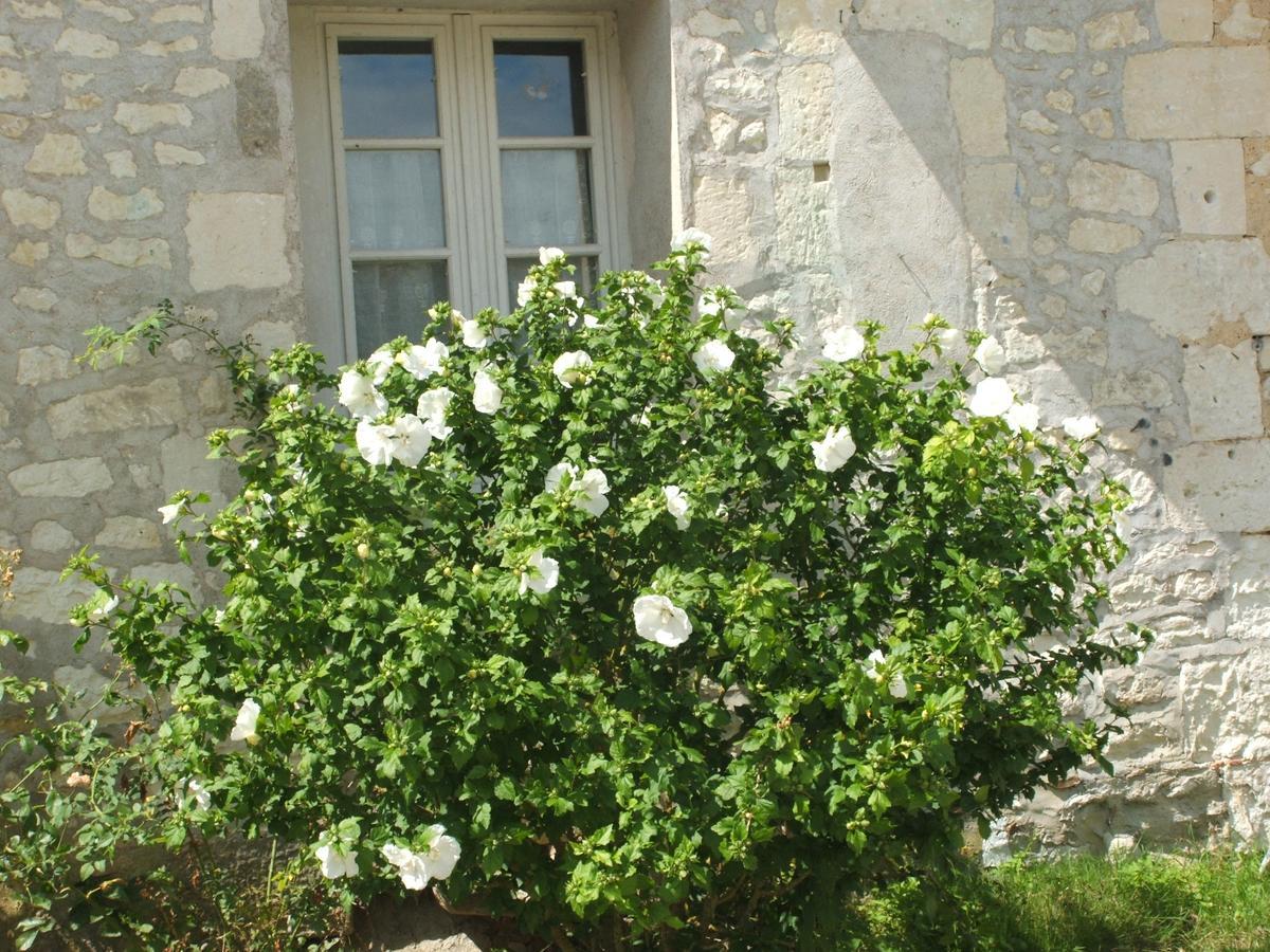 로슈 Manoir De La Rousselliere 아파트 호텔 외부 사진